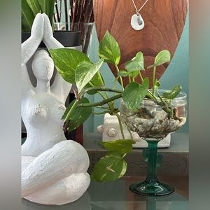 Cactus Margarita Glass Planter